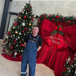 ���� �����, �����, 50 ��� - ��������� 8 ������� 2026