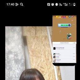 ��������, 31 ���, �����������