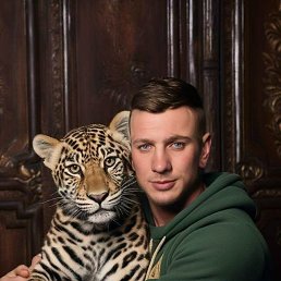 �������, 33 ����, ���������