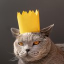 ���� ����-����, ������, 27 ��� - ��������� 27 ������� 2024 � ������ ���� ����������