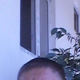 ���� ��������, ������������, 39 ��� - ��������� 24 ������� 2025