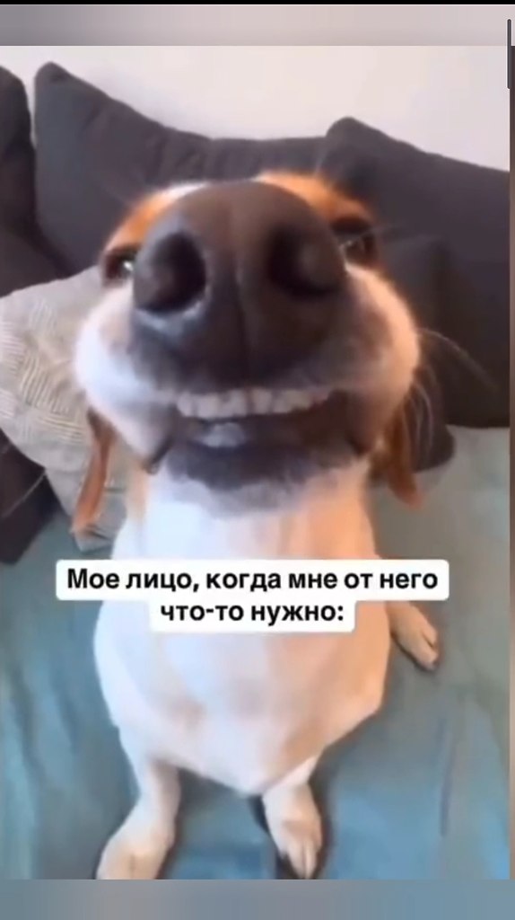 � ����� ������� �� �������� ������� ������ � ����� ������ - 2