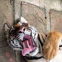 ���� ���������, ������������, 36 ��� - ��������� 22 ����� 2024 � ������ ���� ����������