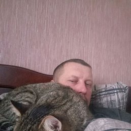 ����, ������, 41 ���