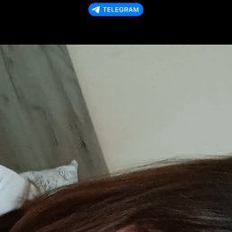 ���� �������, ����� - ��������, 25 ��� - ��������� 8 ������ 2026