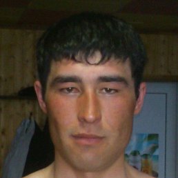 , 33, 