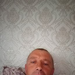 ����������, 44 ����, ������