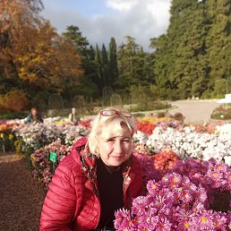 , 55, 