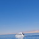 ���� ������, �����-���������, 53 ���� - ��������� 8 ������ 2026 � ������ ���� ����������