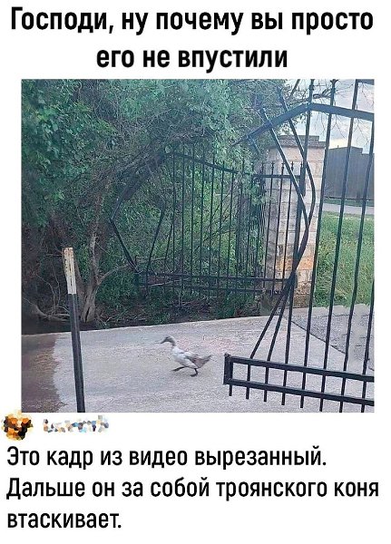 � �� ���� ���� �� ��� ���-�� ���������