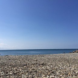 ��������,�������, �����, 76 ���