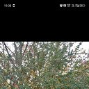 ���� ����, �����, 36 ��� - ��������� 3 �������� 2025 � ������ ���� ����������