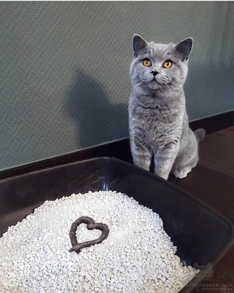 ������� � ������� - 3