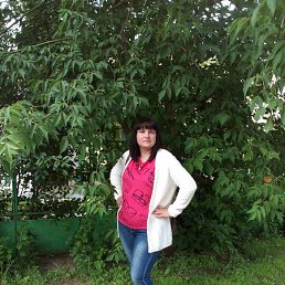 �������, 38 ���, ���������