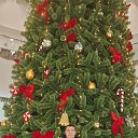 ���� ����, ������, 55 ��� - ��������� 9 ������ 2026 � ������ ���� ����������