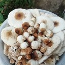 ���� ������, ������ - ��������� 13 ���� 2026 � ������ �������