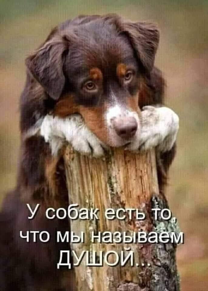 :) ��������� �������. - �� ����� �������, � ���� �����, ��� ���� ����� ���������, - ������ ���� ...
