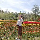 ���� ����, ������ �����, 37 ��� - ��������� 11 �������� 2025 � ������ ���� ����������