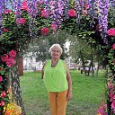 ���� �����, �����, 66 ��� - ��������� 20 ��� 2025 � ������ ���� ����������