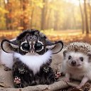 ���� �� Z, ������ - ��������� 2 ������ 2025 � ������ ���� ����������