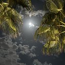 ���� ������, ������� - ��������� 24 ������ 2024 � ������ ���� ����������