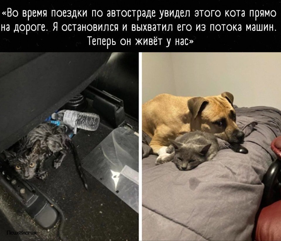 ������ ����� ������� � ����� �����