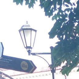 ����, ������, 58 ���