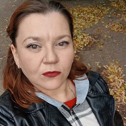 �����, 41 ���, �����