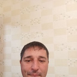 �����, 41 ���, ����������