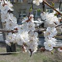 ���� ��������, �����������, 46 ��� - ��������� 22 ������� 2025 � ������ ���� ������ 2025�