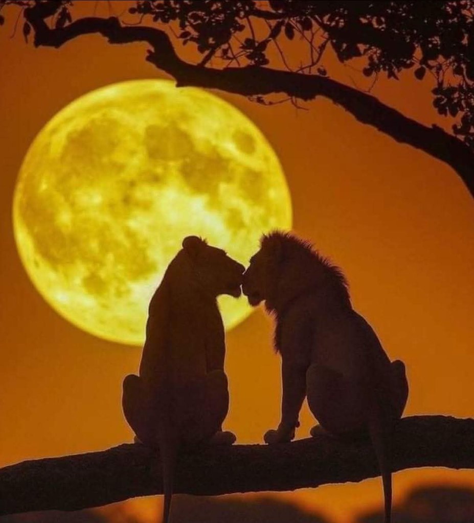 :)   : "  ,    ",     ...