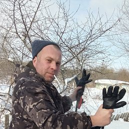 �������, 41 ���, ��������