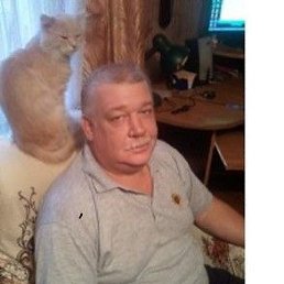, 61 , 