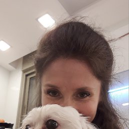 ������, �����������