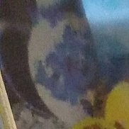 ����, 38 ���, ������