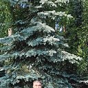 ���� Rafik, ������, 38 ��� - ��������� 19 ���� 2025 � ������ ���� ����������