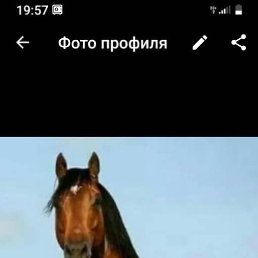 ����, ������ �����, 43 ����