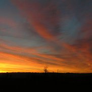 ������, 47 ���, ������