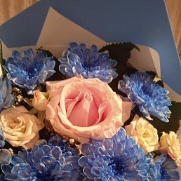 �������, ������, 51 ���