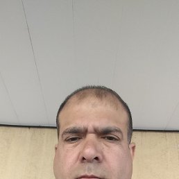 , 43, 