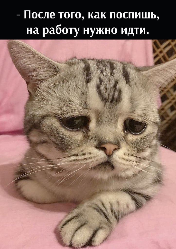 ��� ���� � ����� �� �� - 17 ������� 2026 � 22:00 - 3