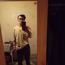 ������, 37 ���, ���������