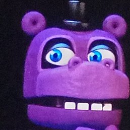 ����, ��������, 25 ���