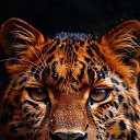���� �������, ��������, 45 ��� - ��������� 4 ������ 2026 � ������ ���� ����������