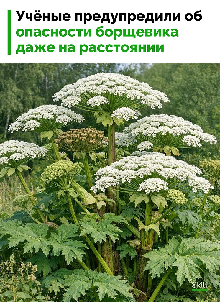 ������ ��������, ��� � ��������� ������ ��������� ����� ��� �� 30 ������. ������� � ��������� ����� ...