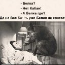���� �����, ������������, 54 ���� - ��������� 18 ������� 2025 � ������ ���� ����������