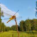 ���� ������, ��������� - ��������� 10 ���� 2026