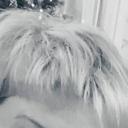 ����, ������, 50 ���