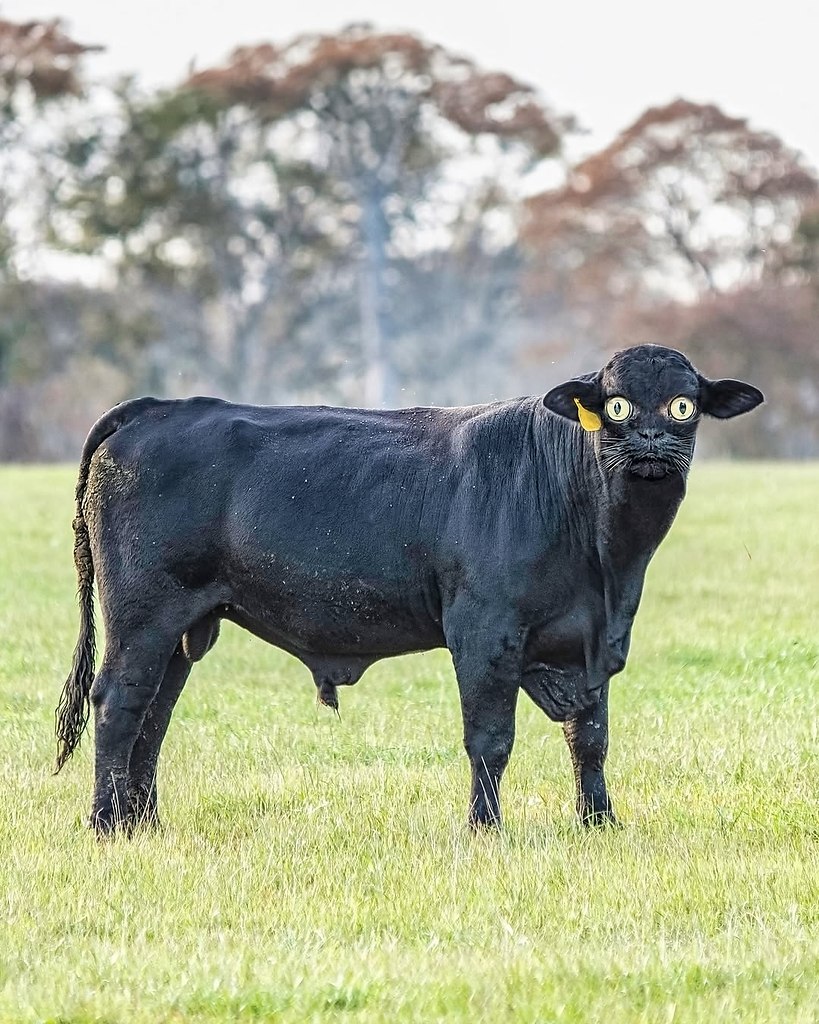 �����������, ���� �������� ������� ������� � ���� ������ � ��������� ������ - 2