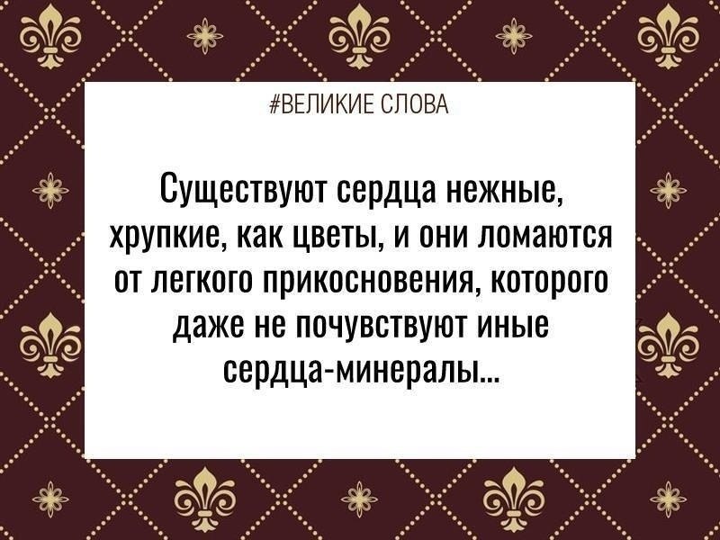 ������� ����� | ������, ����� � �������� - 23 ������ 2026 � 11:48
